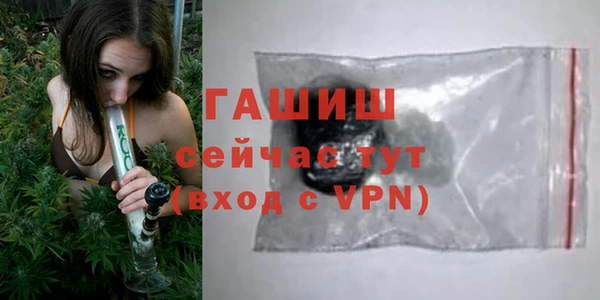 гидра Богородицк